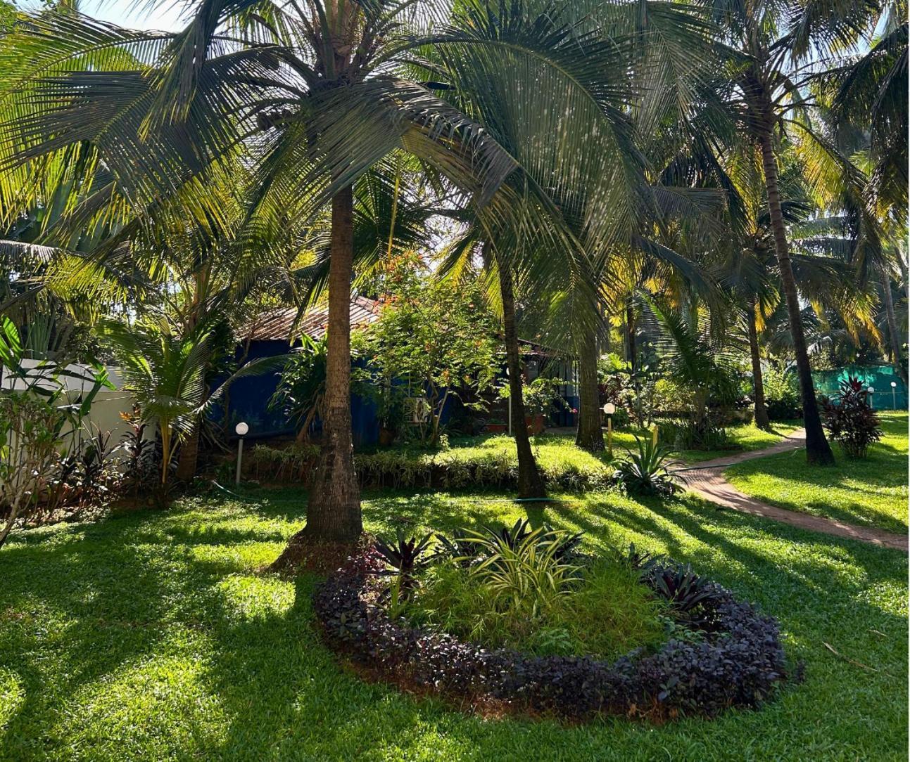 Jungle Hut-Annabelle'S Beach Apartments At Bernard Simao,Calangute,Goa Candolim Buitenkant foto